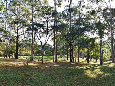 Prudente Village ekoloji parkı, ve 2004 yılında yakın bir okulda çalışan Colgio Estadual Prof. Americo de Moura (CEPAM) onuruna Parque Ecolgico Prof Lydia Natalizio Diogo olarak değiştirildi.).