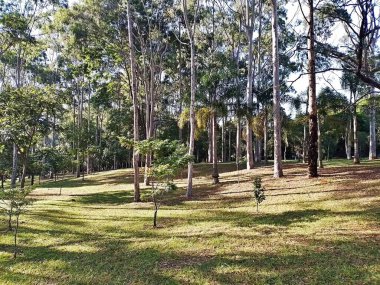 Prudente Village ekoloji parkı, ve 2004 yılında yakın bir okulda çalışan Colgio Estadual Prof. Americo de Moura (CEPAM) onuruna Parque Ecolgico Prof Lydia Natalizio Diogo olarak değiştirildi.).