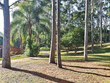 Prudente Village ekoloji parkı, ve 2004 yılında yakın bir okulda çalışan Colgio Estadual Prof. Americo de Moura (CEPAM) onuruna Parque Ecolgico Prof Lydia Natalizio Diogo olarak değiştirildi.).