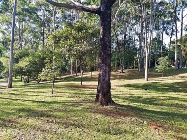 Prudente Village ekoloji parkı, ve 2004 yılında yakın bir okulda çalışan Colgio Estadual Prof. Americo de Moura (CEPAM) onuruna Parque Ecolgico Prof Lydia Natalizio Diogo olarak değiştirildi.).