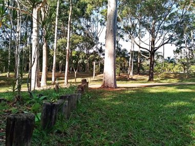 Prudente Village ekoloji parkı, ve 2004 yılında yakın bir okulda çalışan Colgio Estadual Prof. Americo de Moura (CEPAM) onuruna Parque Ecolgico Prof Lydia Natalizio Diogo olarak değiştirildi.).