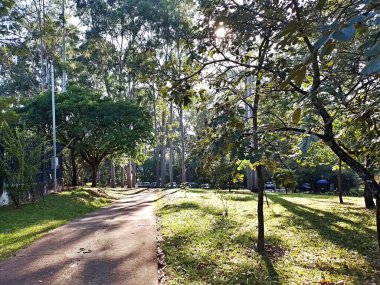 Prudente Village ekoloji parkı, ve 2004 yılında yakın bir okulda çalışan Colgio Estadual Prof. Americo de Moura (CEPAM) onuruna Parque Ecolgico Prof Lydia Natalizio Diogo olarak değiştirildi.).