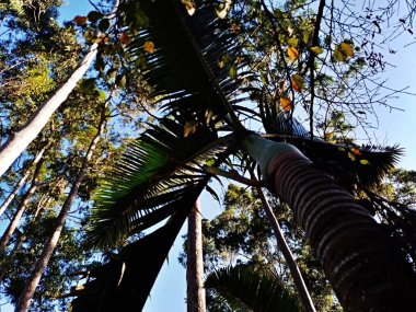 Prudente Village ekoloji parkı, ve 2004 yılında yakın bir okulda çalışan Colgio Estadual Prof. Americo de Moura (CEPAM) onuruna Parque Ecolgico Prof Lydia Natalizio Diogo olarak değiştirildi.).
