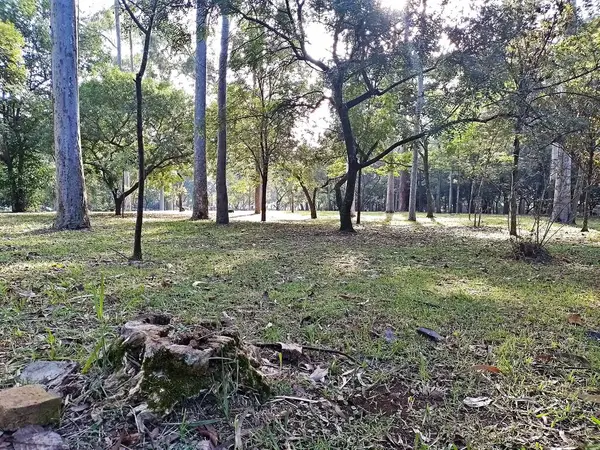 Prudente Village ekoloji parkı, ve 2004 yılında yakın bir okulda çalışan Colgio Estadual Prof. Americo de Moura (CEPAM) onuruna Parque Ecolgico Prof Lydia Natalizio Diogo olarak değiştirildi.).