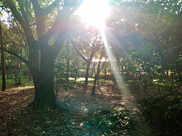 Prudente Village ekoloji parkı, ve 2004 yılında yakın bir okulda çalışan Colgio Estadual Prof. Americo de Moura (CEPAM) onuruna Parque Ecolgico Prof Lydia Natalizio Diogo olarak değiştirildi.).