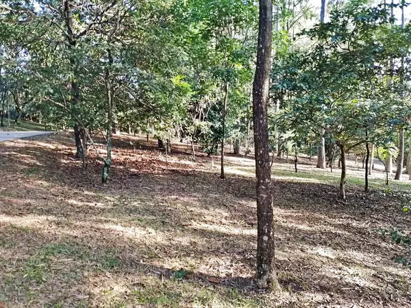 Prudente Village ekoloji parkı, ve 2004 yılında yakın bir okulda çalışan Colgio Estadual Prof. Americo de Moura (CEPAM) onuruna Parque Ecolgico Prof Lydia Natalizio Diogo olarak değiştirildi.).