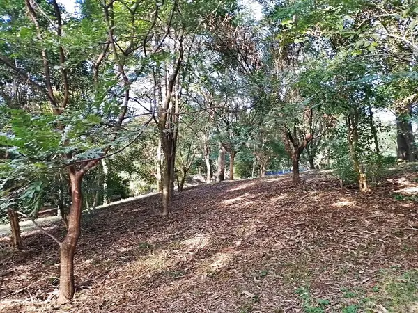 Prudente Village ekoloji parkı, ve 2004 yılında yakın bir okulda çalışan Colgio Estadual Prof. Americo de Moura (CEPAM) onuruna Parque Ecolgico Prof Lydia Natalizio Diogo olarak değiştirildi.).