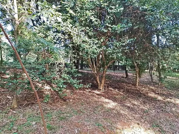 Prudente Village ekoloji parkı, ve 2004 yılında yakın bir okulda çalışan Colgio Estadual Prof. Americo de Moura (CEPAM) onuruna Parque Ecolgico Prof Lydia Natalizio Diogo olarak değiştirildi.).