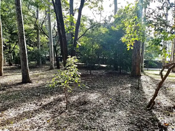 Prudente Village ekoloji parkı, ve 2004 yılında yakın bir okulda çalışan Colgio Estadual Prof. Americo de Moura (CEPAM) onuruna Parque Ecolgico Prof Lydia Natalizio Diogo olarak değiştirildi.).