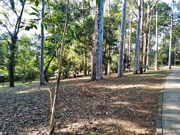 Prudente Village ekoloji parkı, ve 2004 yılında yakın bir okulda çalışan Colgio Estadual Prof. Americo de Moura (CEPAM) onuruna Parque Ecolgico Prof Lydia Natalizio Diogo olarak değiştirildi.).