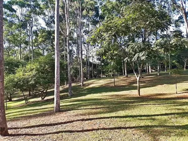 Prudente Village ekoloji parkı, ve 2004 yılında yakın bir okulda çalışan Colgio Estadual Prof. Americo de Moura (CEPAM) onuruna Parque Ecolgico Prof Lydia Natalizio Diogo olarak değiştirildi.).