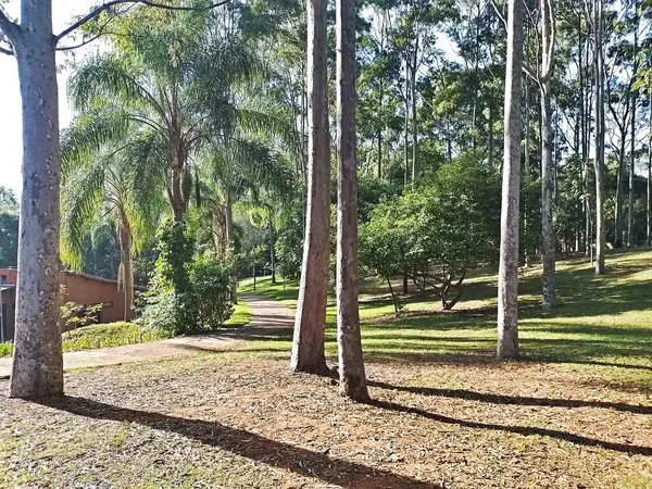 Prudente Village ekoloji parkı, ve 2004 yılında yakın bir okulda çalışan Colgio Estadual Prof. Americo de Moura (CEPAM) onuruna Parque Ecolgico Prof Lydia Natalizio Diogo olarak değiştirildi.).