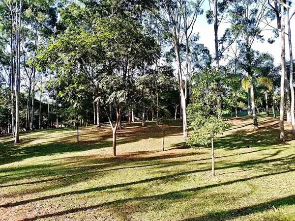 Prudente Village ekoloji parkı, ve 2004 yılında yakın bir okulda çalışan Colgio Estadual Prof. Americo de Moura (CEPAM) onuruna Parque Ecolgico Prof Lydia Natalizio Diogo olarak değiştirildi.).