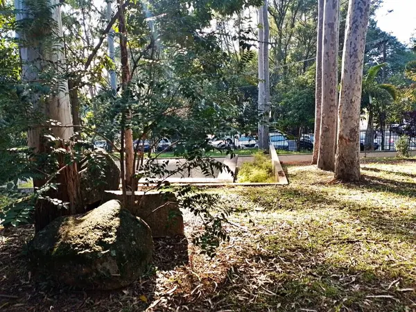 Prudente Village ekoloji parkı, ve 2004 yılında yakın bir okulda çalışan Colgio Estadual Prof. Americo de Moura (CEPAM) onuruna Parque Ecolgico Prof Lydia Natalizio Diogo olarak değiştirildi.).