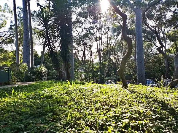 Prudente Village ekoloji parkı, ve 2004 yılında yakın bir okulda çalışan Colgio Estadual Prof. Americo de Moura (CEPAM) onuruna Parque Ecolgico Prof Lydia Natalizio Diogo olarak değiştirildi.).