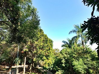 Chico Mendes Green Space, So Caetano do Sul (SP) şehrinde bulunan ve ABC bölgesinde bulunan bir parktır..