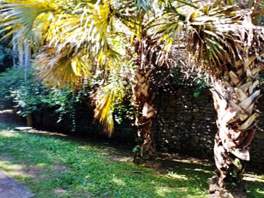 Chico Mendes Green Space, So Caetano do Sul (SP) şehrinde bulunan ve ABC bölgesinde bulunan bir parktır..