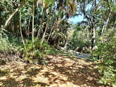 Chico Mendes Green Space, So Caetano do Sul (SP) şehrinde bulunan ve ABC bölgesinde bulunan bir parktır..
