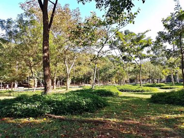 Chico Mendes Green Space, So Caetano do Sul (SP) şehrinde bulunan ve ABC bölgesinde bulunan bir parktır..