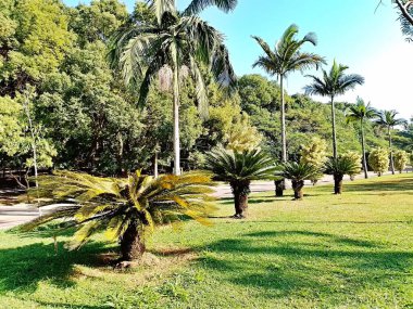 Chico Mendes Green Space, So Caetano do Sul (SP) şehrinde bulunan ve ABC bölgesinde bulunan bir parktır..