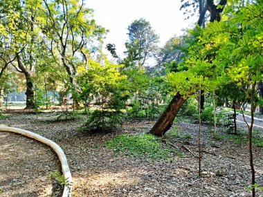 Chico Mendes Green Space, So Caetano do Sul (SP) şehrinde bulunan ve ABC bölgesinde bulunan bir parktır..