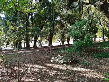 Chico Mendes Green Space, So Caetano do Sul (SP) şehrinde bulunan ve ABC bölgesinde bulunan bir parktır..