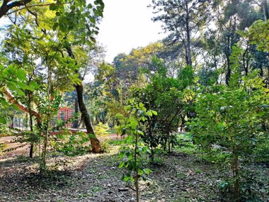 Chico Mendes Green Space, So Caetano do Sul (SP) şehrinde bulunan ve ABC bölgesinde bulunan bir parktır..