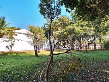 Chico Mendes Green Space, So Caetano do Sul (SP) şehrinde bulunan ve ABC bölgesinde bulunan bir parktır..