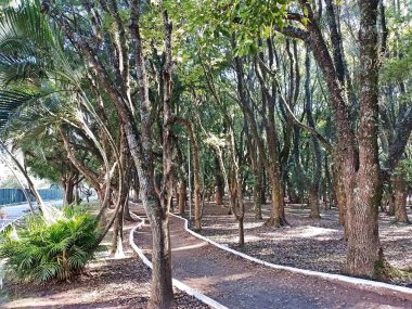 Chico Mendes Green Space, So Caetano do Sul (SP) şehrinde bulunan ve ABC bölgesinde bulunan bir parktır..