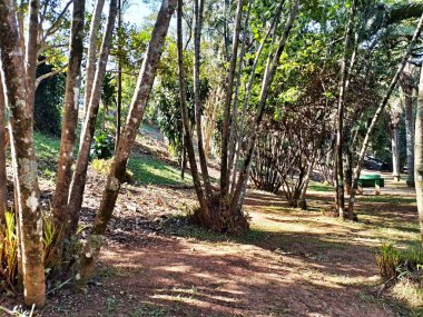 Chico Mendes Green Space, So Caetano do Sul (SP) şehrinde bulunan ve ABC bölgesinde bulunan bir parktır..