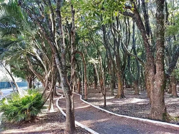 Chico Mendes Green Space, So Caetano do Sul (SP) şehrinde bulunan ve ABC bölgesinde bulunan bir parktır..