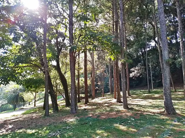 Chico Mendes Green Space, So Caetano do Sul (SP) şehrinde bulunan ve ABC bölgesinde bulunan bir parktır..