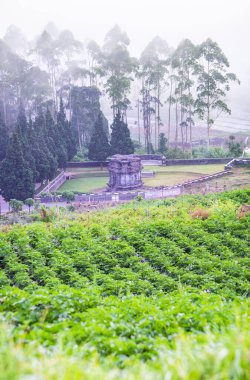 Banjarnegara, Endonezya - 21 Eylül 2022: Dieng sanatçılarının Mahabharata efsanelerini volkanik taş hikayelerinde ustaca betimledikleri Candi Gatotkaca 'nın 8. yüzyıl eserlerini keşfetmek.