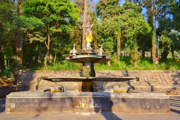 Karanganyar, Endonezya - 20 Ağustos 2015: Puri Taman Saraswati 'nin Cetho Tapınağı yakınlarındaki dingin güzelliğini tecrübe edin..