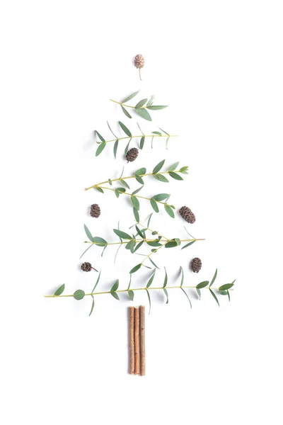 Kreatywna Choinka Wykonana Gałęzi Eukaliptusa Odizolowanych Białym Tle Zielone Boże — Zdjęcie stockowe