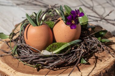  Paskalya desenli doğal bir ev dekorasyonu. Yumurta kabuğunda çiçekler. Sıfır atık kavramı ve el yapımı dekor