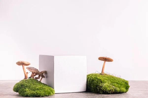 woodland decor and natural style. Cubic podium with green moss and mushrooms. Still life for products presentation. Copy space