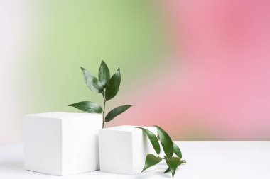 Cosmetic gradient background with geometric shapes and a ruskus branch. two cubic podiums in white and pink. Mockup for presentation of cosmetic products