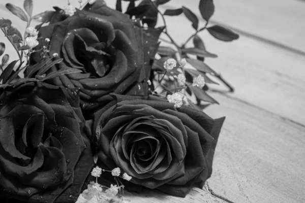 Closeup Flower Arrangement Roses Gray Background Black White Monochrome — Foto Stock