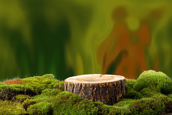 木製のカット 緑の苔でラウンド表彰台を見た 製品のプレゼンテーションのためのまだ生活 ファンタジーグリーンオレンジ抽象的背景 — ストック写真