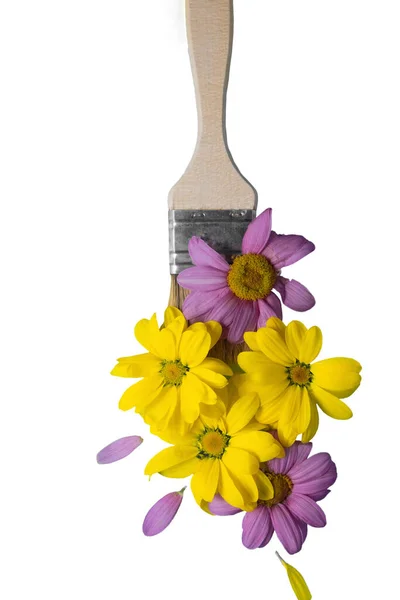 Blumenpinsel Isoliert Auf Weißem Hintergrund Kopierraum Kreative Minimal Art Frische — Stockfoto