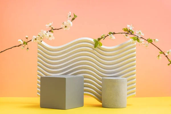 Peach background with geometric texture shapes. Cubic white and gray podiums and cherry blossom branches. Still life. Spring concept.