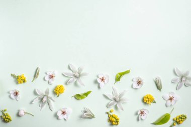 Beyaz arka planda bahar çiçeklerinden çiçek sınırı. Düz konum, üst görünüm, kopyalama alanı. Pastel renkte güzel çiçek deseni. 