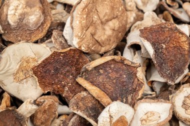 Kurutulmuş beyaz mantarlar, yakın plan, tam kare. Yukarıdan görünüm 