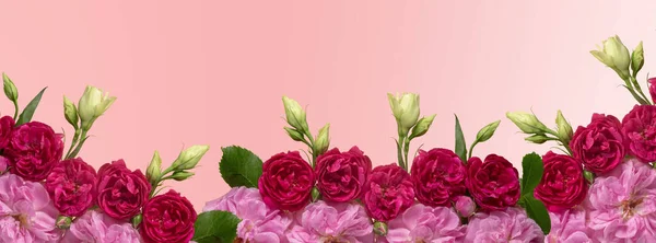 白い背景にピンクと赤のバラの花のレイアウト 最上階だ 休日や結婚式のプロジェクトのための美しい花の配置 長い旗 — ストック写真