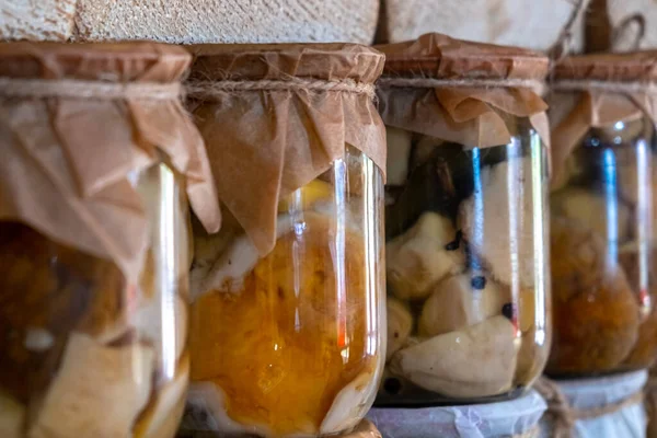 玻璃瓶的特写展示了一架子手工制作的罐装香菇 乌克兰喀尔巴阡山脉农产品商店 — 图库照片