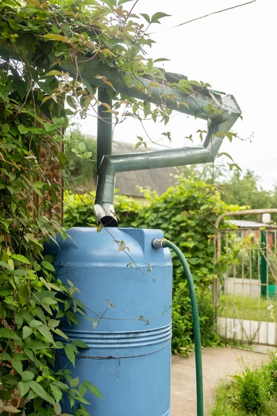 Çatının altında yağmur suyu toplayan büyük bir fıçı. Bulanık ve seçici odaklanma. Dikey fotoğraf