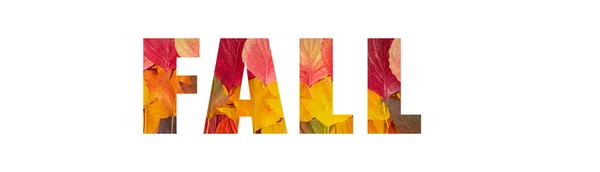 Dopisy Fall Barevných Podzimních Listů Izolovaných Bílém Pozadí Dlouhý Nápis — Stock fotografie