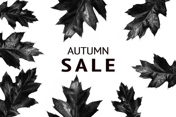 Scrisori Autumn Vânzare Frunze Negre Izolate Fundal Alb — Fotografie, imagine de stoc