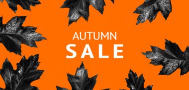 Turuncu arka planda AUTUMN satışı ve siyah meşe yaprakları. Uzun pankart.